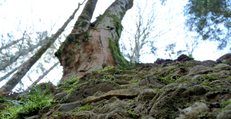 Cliffhanger