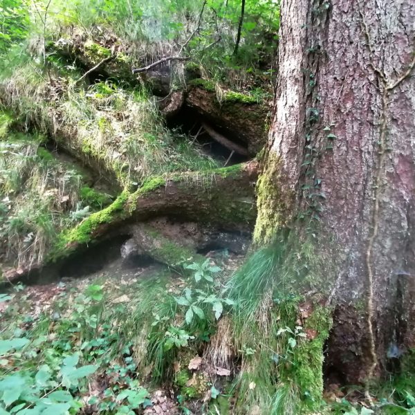 Klammeräffli