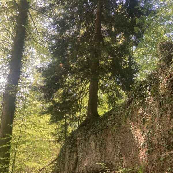 Cliffhanger